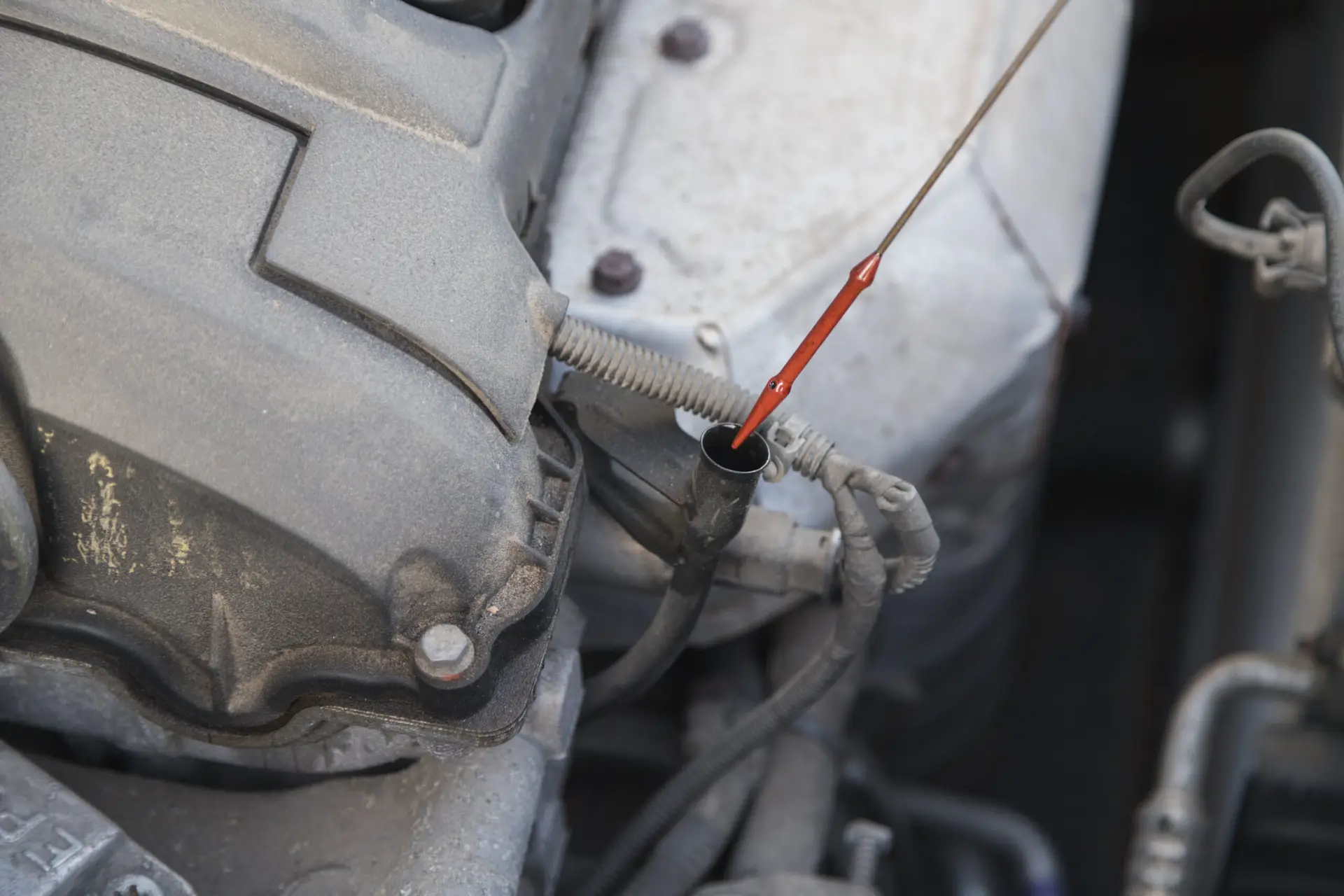 The serviceman takes out a dipstick to check the oil level in the car engine.